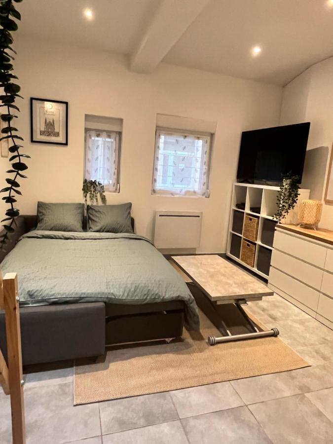 Le Remois Studio Cosy Hyper Centre Reims Kültér fotó